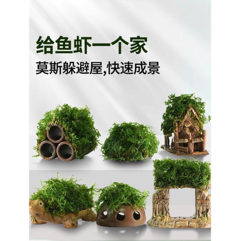 鱼缸水草造景莫斯水草懒人真植物鱼虾躲避罐虾屋小摆件小鱼躲避屋