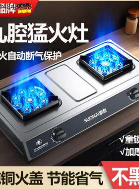 德国品牌不锈钢煤气灶双
