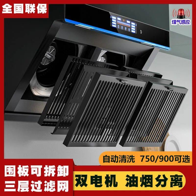 路易好太太壁挂双电机抽