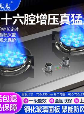 巧太太煤气灶双灶嵌入式