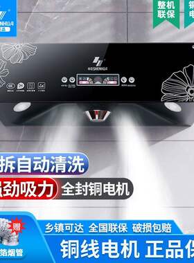 申花大吸力中式抽烟机家