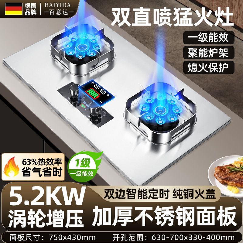 德国品牌瓦斯炉双口十八