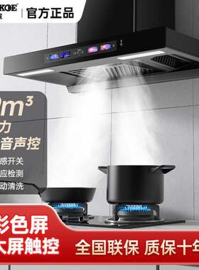 抽油烟机家用三腔触控屏