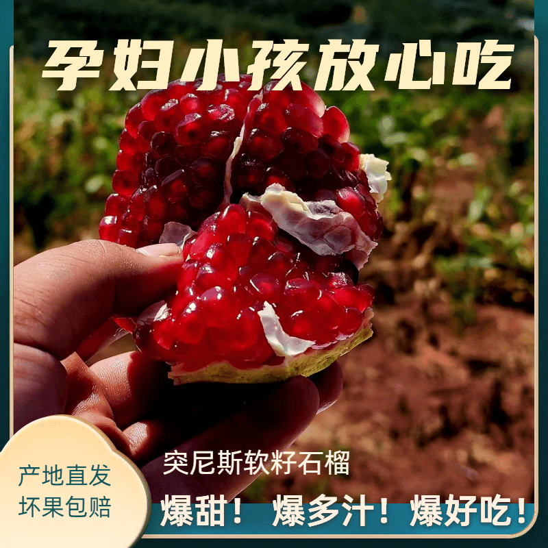 2025秋季现摘软籽甜石榴四川会理突尼斯软籽石榴产地直发甜石榴