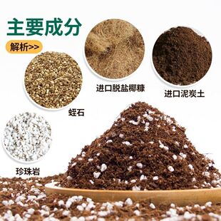 泥炭土进口宝莲灯多肉育花卉通用苗营养草炭土