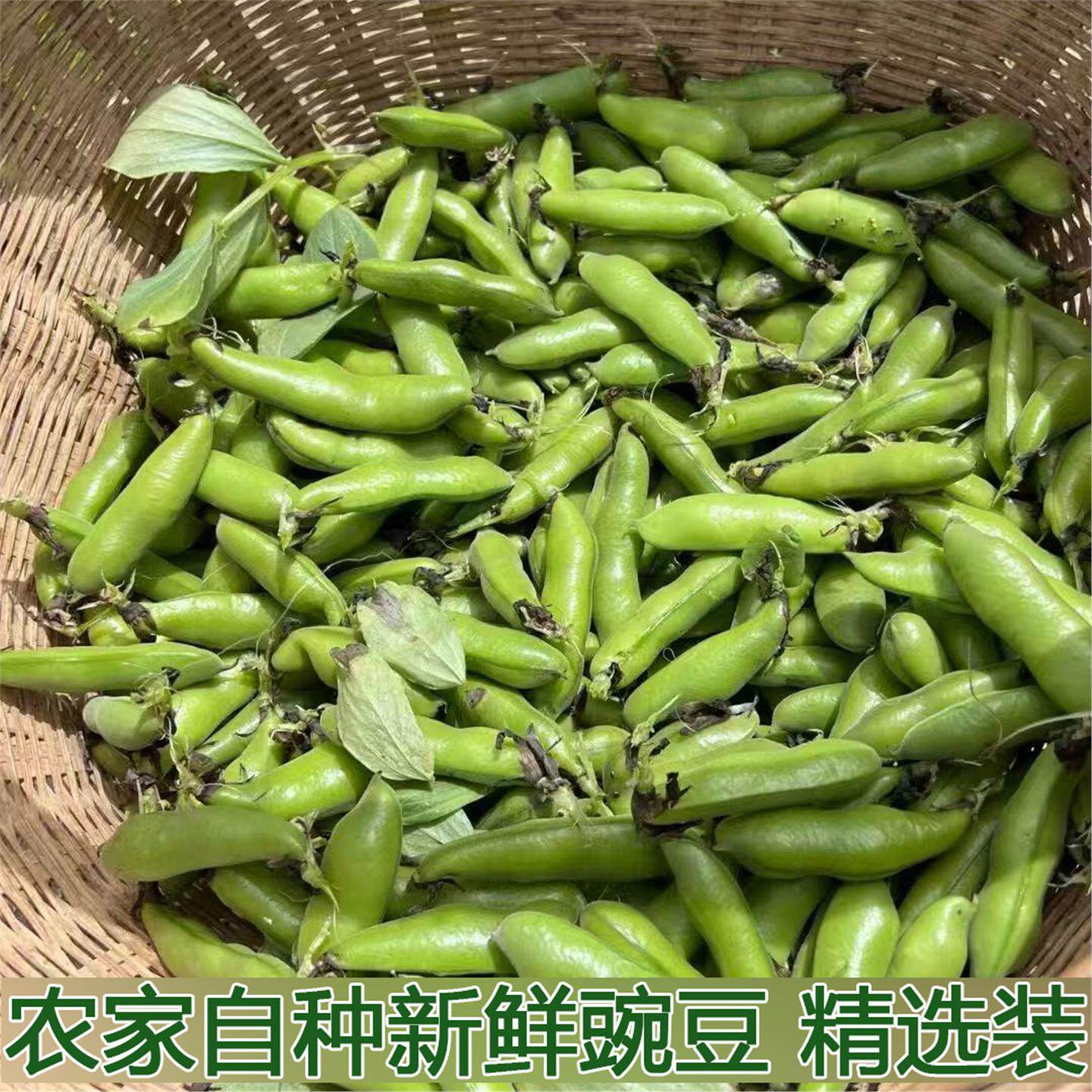 湖北农家新鲜生大绿心带壳蚕豆米嫩胡罗汉豆角青豆夹时令蔬菜