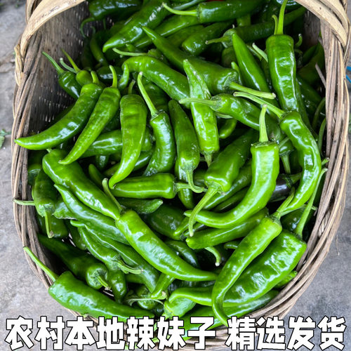新鲜辣椒现摘农家包邮