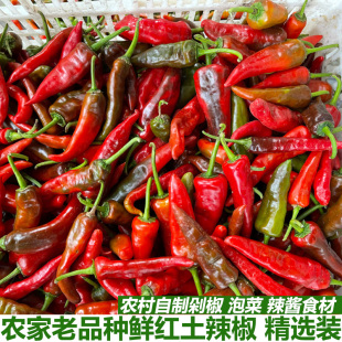 鲜红土辣椒农家老品种小土辣椒红辣椒鲜红辣椒红尖椒做酱剁椒包邮