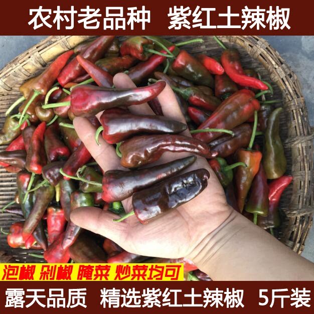 湖北农家自种露天土辣椒紫红辣椒鲜红辣椒乌红土辣椒做酱剁椒包邮