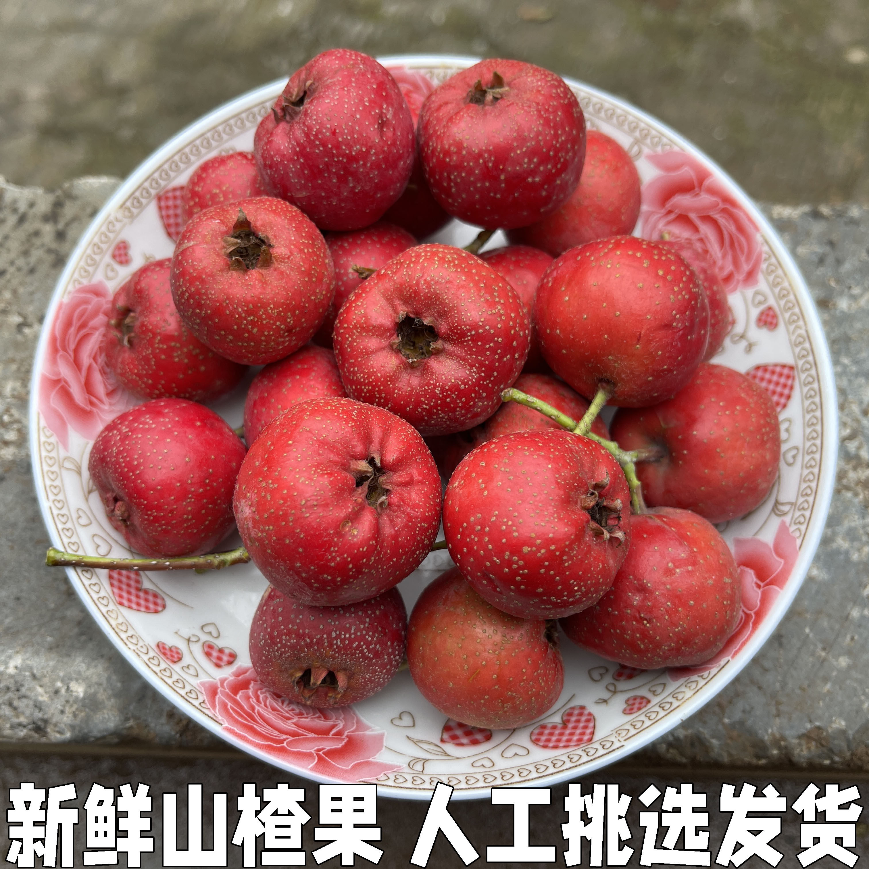 新鲜山楂果5斤山楂新鲜山楂果水果山里红铁山楂冰糖葫芦山楂大果