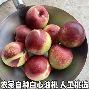 新鲜白心油桃水晶油桃子应季现摘纯脆甜枣桃白肉红皮桃子包邮