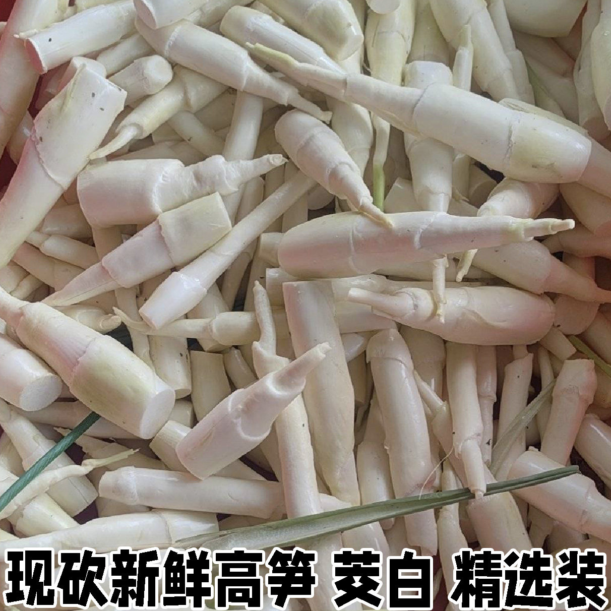 茭白笋时令新鲜蔬菜茭白农家高笋鲜嫩高山蔬菜现采加冰发货包邮