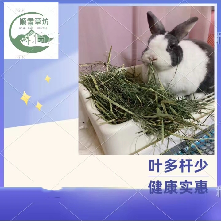 2025年头茬烘干草段提摩西草适合兔宝宝豚鼠龙猫的500g