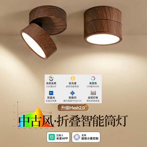 创华名德中古风木纹明装护眼筒灯