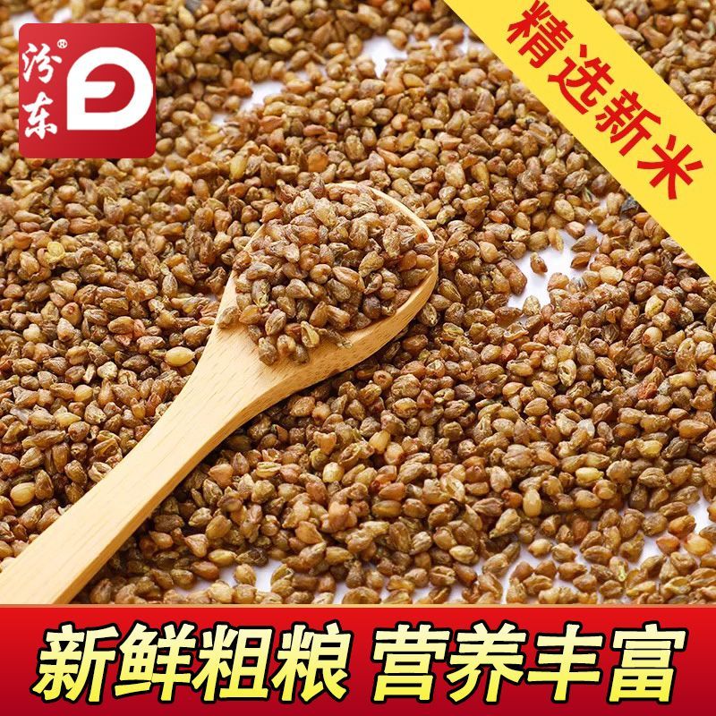 汾东5斤苦荞米农家自产荞麦米全胚芽黑苦荞米优质五谷杂粮粗粮1斤