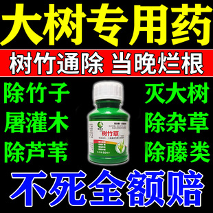 悄无声息除树死树剂大树烂根强力杀死大树根的专用药烂树根腐蚀剂