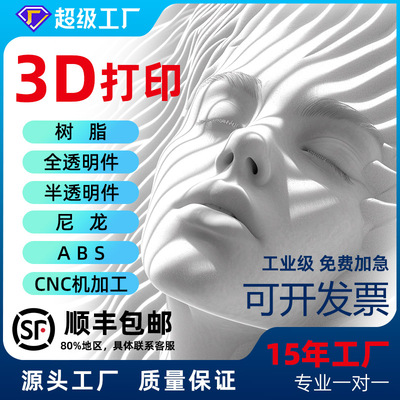 3D打印模型定制代加工塑料手办