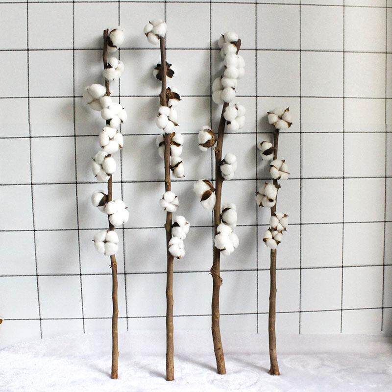 新品 干花木棉花 天然真杆棉花枝 家居装饰陈列道具 田园风仿真棉