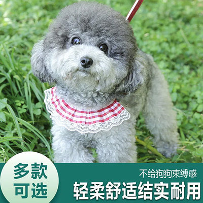 狗狗口水巾泰迪比熊贵宾围脖围嘴可挂牵引绳宠物饰品小型犬项圈