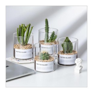 新品 简约北欧ins透明玻璃花瓶多肉水培直筒玻璃花盆仙人掌园艺瓶