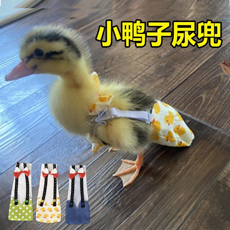 小鸭子尿不湿穿的纸尿裤衣服宠物柯尔鸭专用品小鸡接屎兜防止乱拉