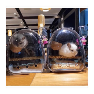 龙猫外出包携带笼子宠物防咬龙猫专用荷兰猪鹦鹉兔子花枝鼠外带包