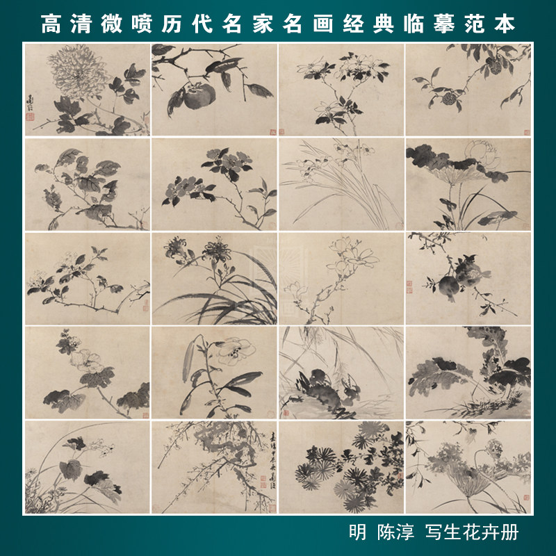 陈淳花卉册二十开写生图册画稿微喷打印国画临摹底稿花鸟小品画