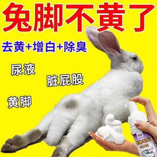 兔子足部去黄免洗慕斯清洁剂去除脚底尿黄污垢温和不刺激宠物用品