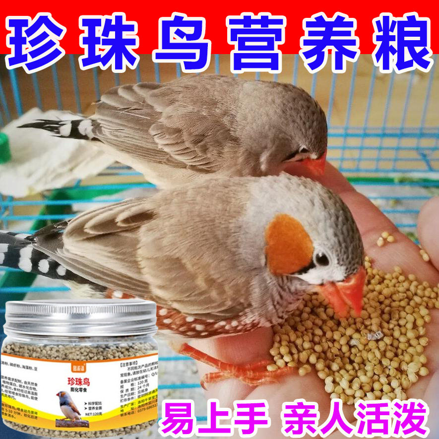 珍珠鸟专用粮增肥亮羽无壳饲料高蛋白促开口亲人粘人珍珠鸟营养粮