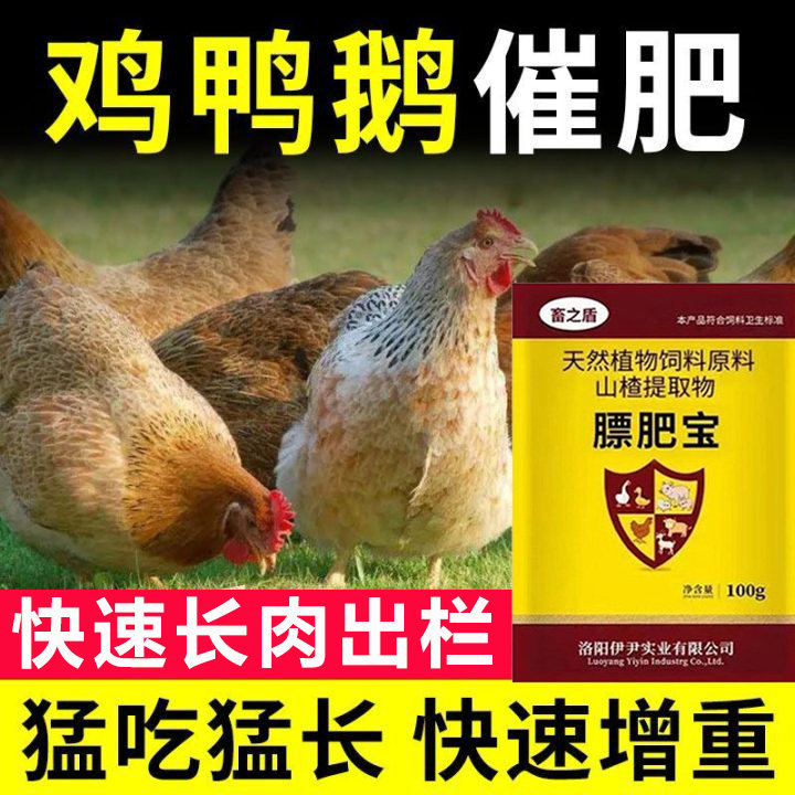 鸡饲料鸡鸭鹅催肥增重王长肉拉大骨架快速育肥增肥粉土鸡肉鸡饲料