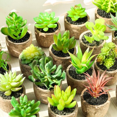 4Pcs/Set Simulation Succulent Plants Artificial Potted Plant