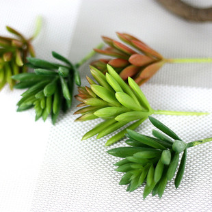 1PC Succulent Artifical Plastic Succulent Plant Cactus Echev