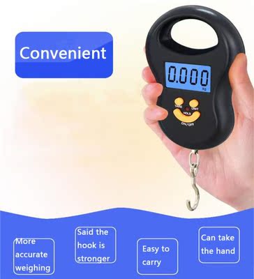 50kg Digital Scale Household Weighing Fishing Luggage Travel