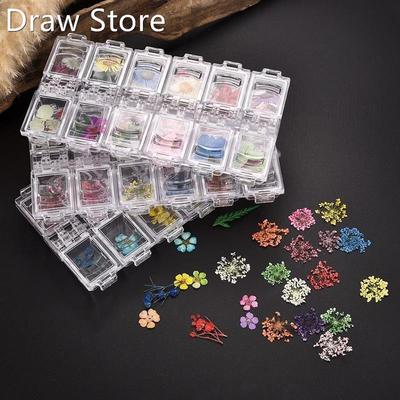 Pressed Dried Flower Dry Plants For Epoxy UV Resin Pendant N