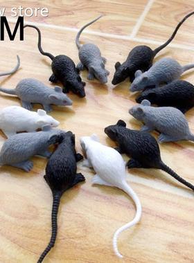 1Pece Mous e Plastic Rats 22x4.2cm Simiula1tieon Rodnts Anim