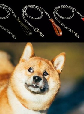 Pet Dog Leash Lead Heavy Duty Bite Proof Chain Training Leas