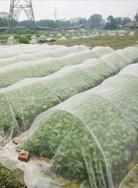 Garden Insect Nets Fine Mesh Plant Antibird Net Greenhouse P