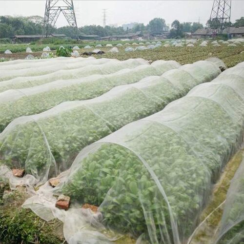 Garden Insect Nets Fine Mesh Plant Antibird Net Greenhouse P