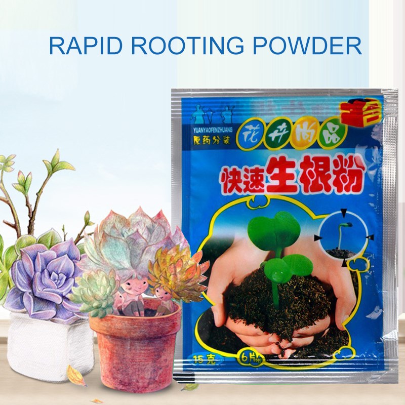 Fast Rooting Plant Rapid Rooting Agent To Improve Flowering