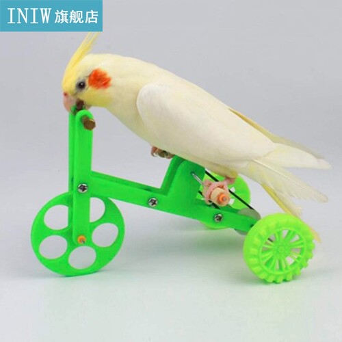 Funny Parrot Bike Toy Birds Training Plaything Supplies Educ