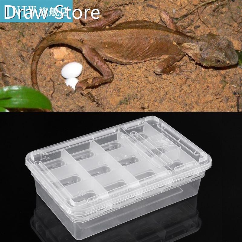 Reptile Egg Incubator Box Eggs Tray Gecko Chameleon Dedicate