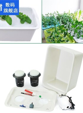 220V Plant Site Hydroponic System 2 Holes Indoor Garden Cabi