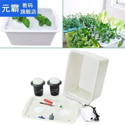 220V Plant Site Hydroponic System 2 Holes Indoor Garden Cabi