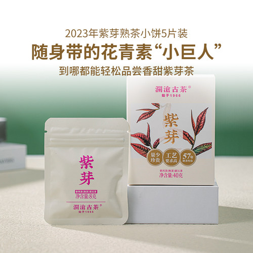 茶妈妈紫芽普洱茶生/熟小萌饼5片