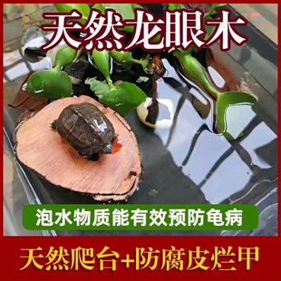 乌龟晒台免煮龙眼木水质净化龟缸龟用品高水位浮岛龟台晒背台