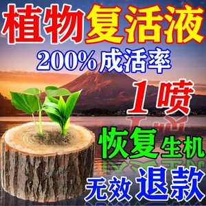 植物复活液强力生根药水枯树再生剂大树木专用嫁接移栽烂根营养液
