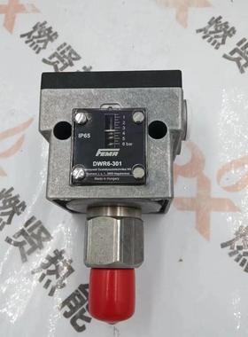 德国fema菲玛压力开关DWR6-301 DWR6-313现货质保一年