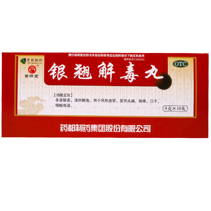 普济堂 银翘解毒丸 9g*10丸/盒风热感冒 发热头痛