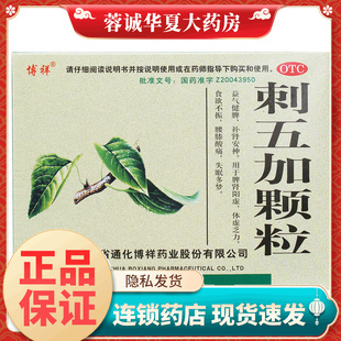 博祥 刺五加颗粒 10g*10袋/盒 益气健脾补肾体虚乏力腰膝酸痛