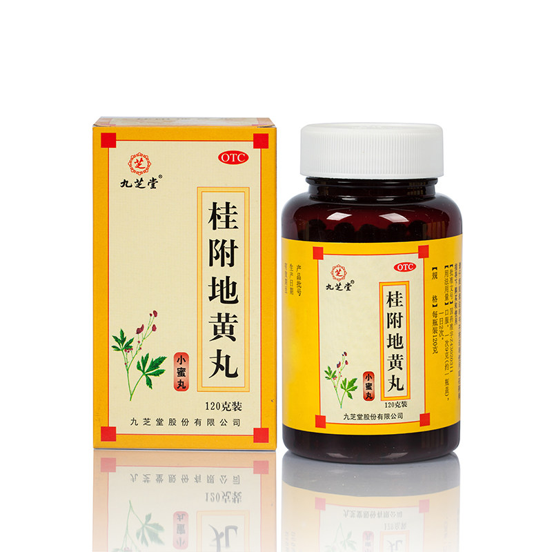 九芝堂 桂附地黄丸 120g*1瓶/盒 温补肾阳 正品旗舰店